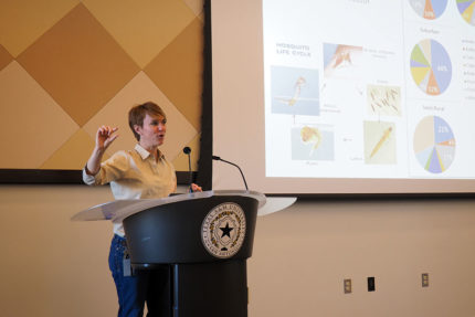 Biology professor’s mosquito research receives national exposure - The Mesquite Online News - Texas A&M University-San Antonio
