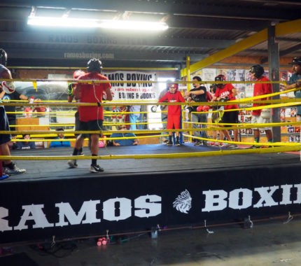 South Side boxing team prepares for Junior Olympics - The Mesquite Online News - Texas A&M University-San Antonio