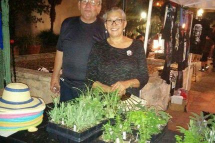 ¿Can You Dig It? specializes in succulents - The Mesquite Online News - Texas A&M University-San Antonio