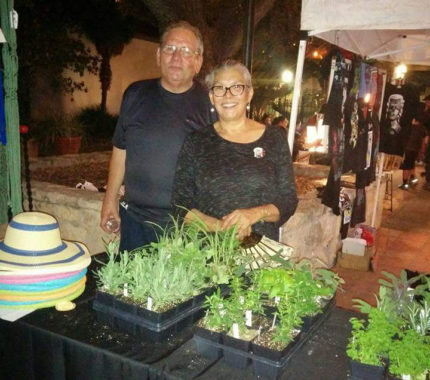 ¿Can You Dig It? specializes in succulents - The Mesquite Online News - Texas A&M University-San Antonio