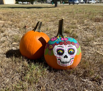 Families take precautions for Halloween 2020 - The Mesquite Online News - Texas A&M University-San Antonio