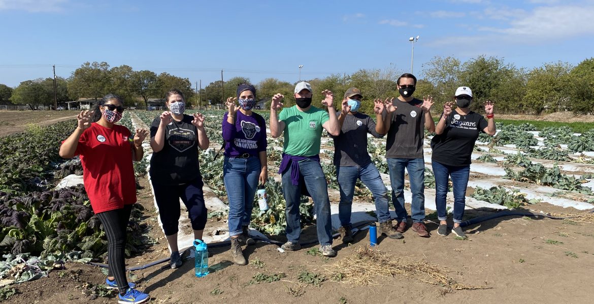 Community members to volunteer at community farm - The Mesquite Online News - Texas A&M University-San Antonio