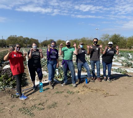 Community members to volunteer at community farm - The Mesquite Online News - Texas A&M University-San Antonio