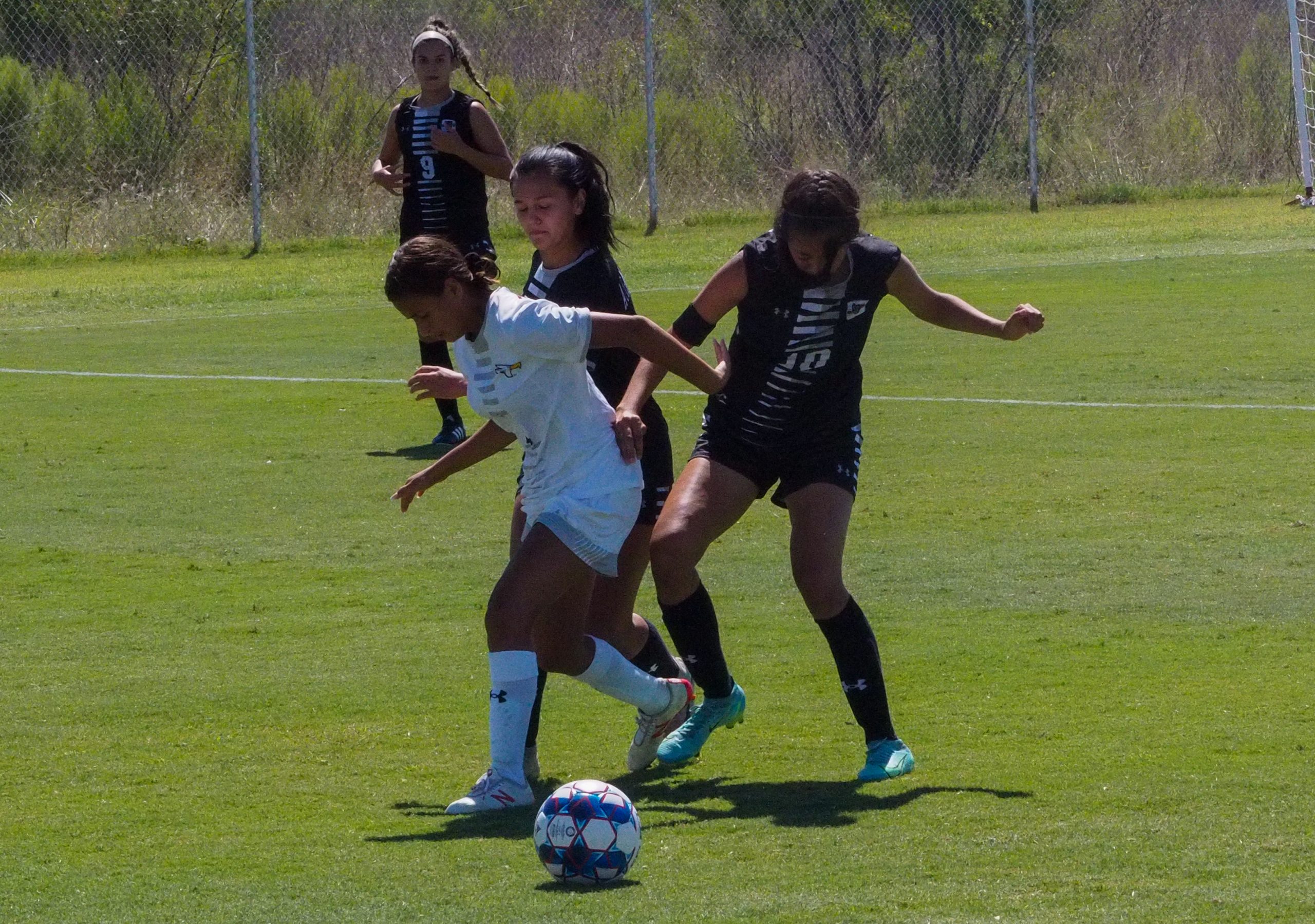 'Olé!’ A&MSan Antonio soccer hosts conference debuts Texas A&M