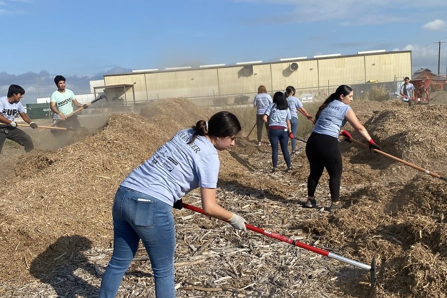 Mays Center offers volunteering opportunity: Paws Up Service Day - The Mesquite Online News - Texas A&M University-San Antonio