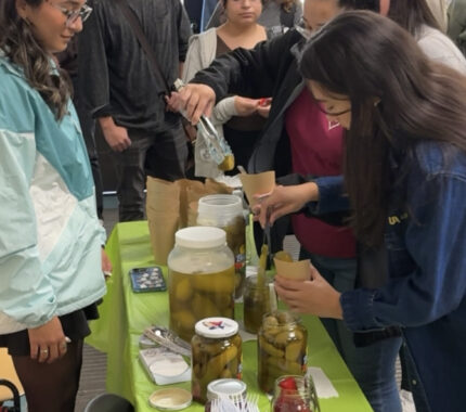 Students pucker up for Pickle Palooza: National Pickle Day - The Mesquite Online News - Texas A&M University-San Antonio