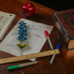 South San ISD adopts ‘Bible-based’ Bluebonnet curriculum - The Mesquite Online News - Texas A&M University-San Antonio