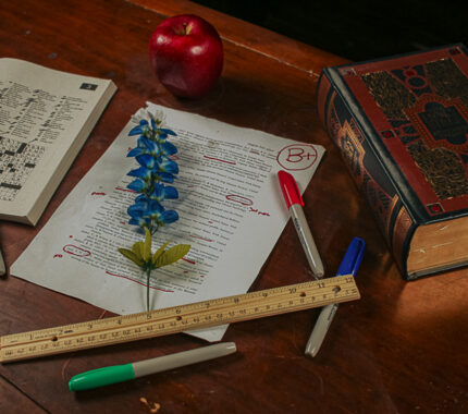 South San ISD adopts ‘Bible-based’ Bluebonnet curriculum - The Mesquite Online News - Texas A&M University-San Antonio
