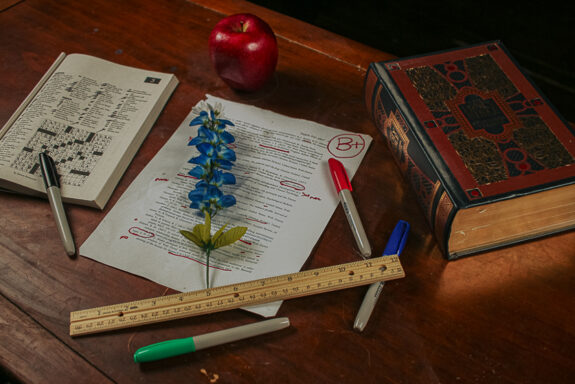 South San ISD adopts ‘Bible-based’ Bluebonnet curriculum - The Mesquite Online News - Texas A&M University-San Antonio