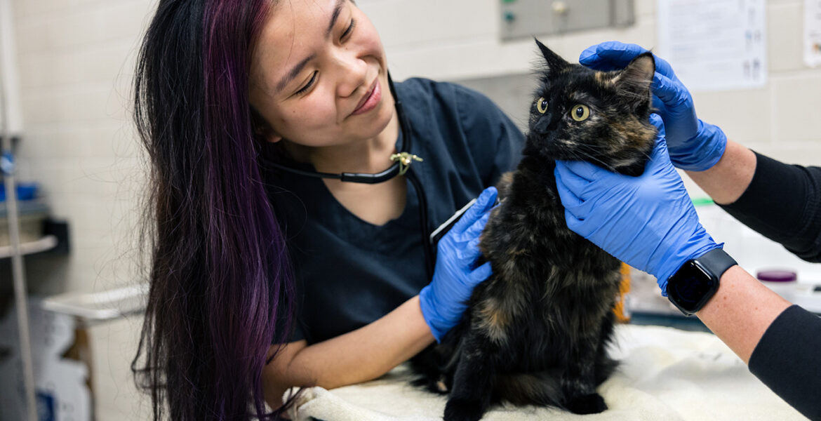Texas A&M-College Station speaks to pre-veterinary students about admission - The Mesquite Online News - Texas A&M University-San Antonio