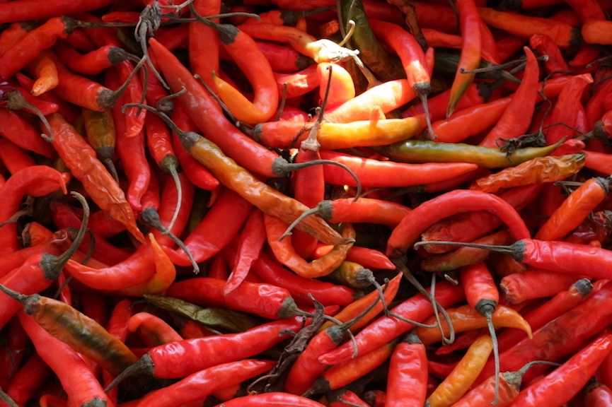 Photo story: Kingdom of bargains — Mission Open Air Market welcomes students, travelers, locals - The Mesquite Online News - Texas A&M University-San Antonio